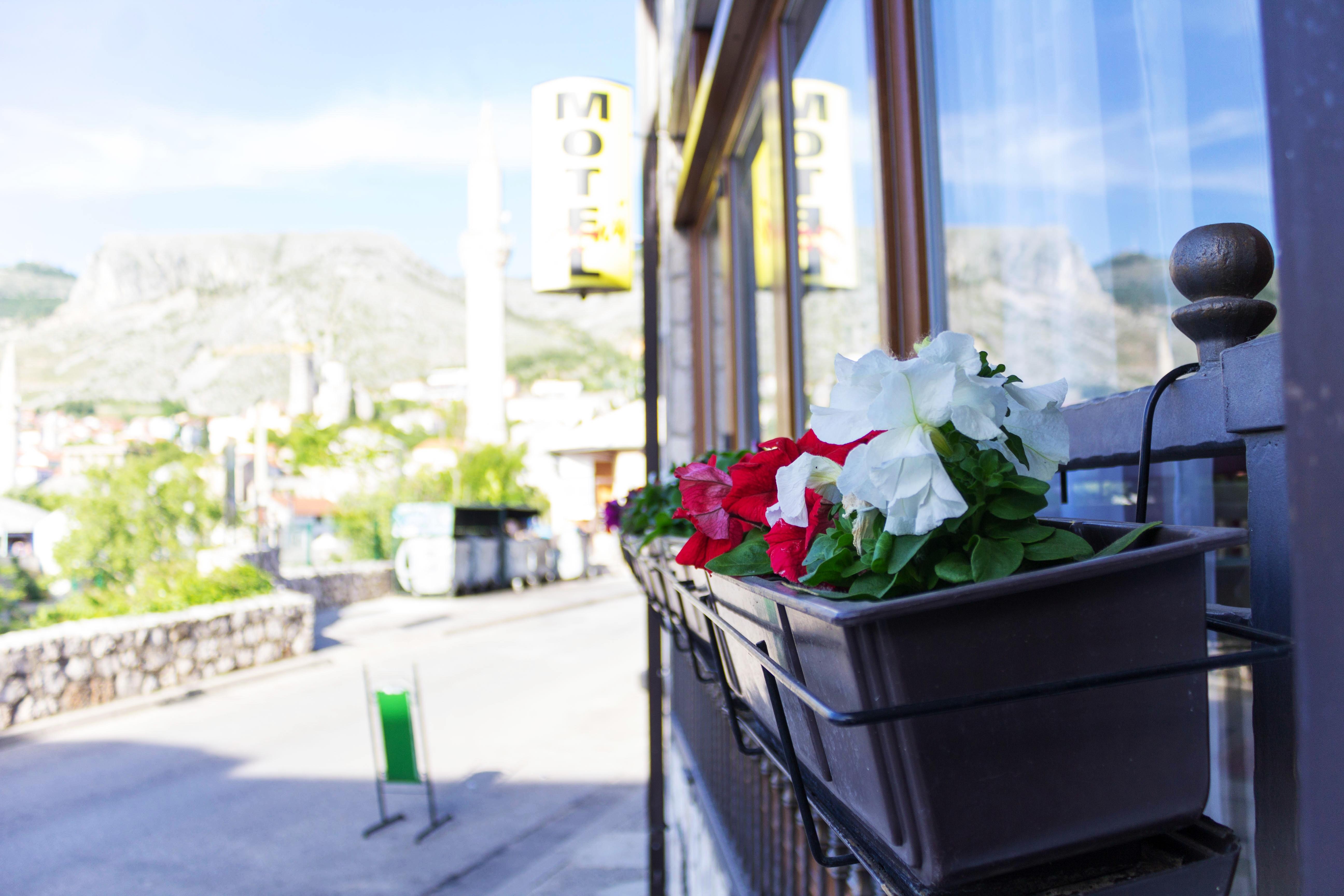 Villa Deny Mostar - With Free Parking ภายนอก รูปภาพ